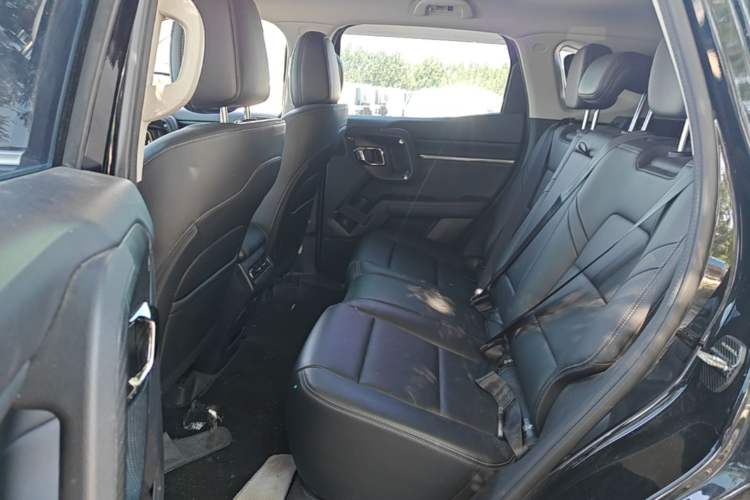 Used Haval H Dog 2023 2.0T All-Wheel-Drive Chaoye Plus Left Rear Seat
