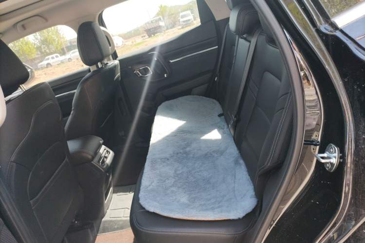 Used Haval H Dog 2023 1.5T Two-Wheel Drive Chao Ye Version Plus Left Rear Seat