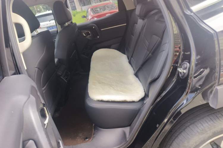 Used Haval H Dog 2023 2.0T Two-Wheel Drive Chaoye Version Plus Left Rear Seat