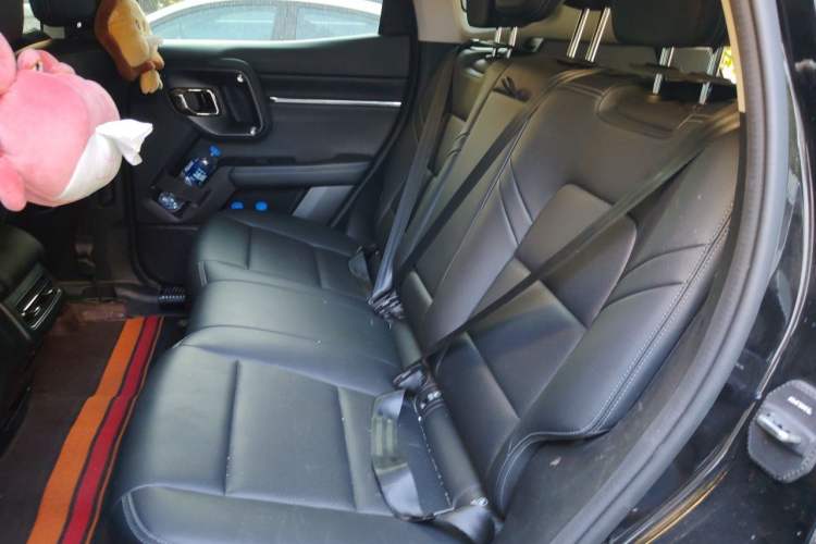 Used Haval H Dog 2023 2.0T All-Wheel-Drive Chaoye Plus Left Rear Seat