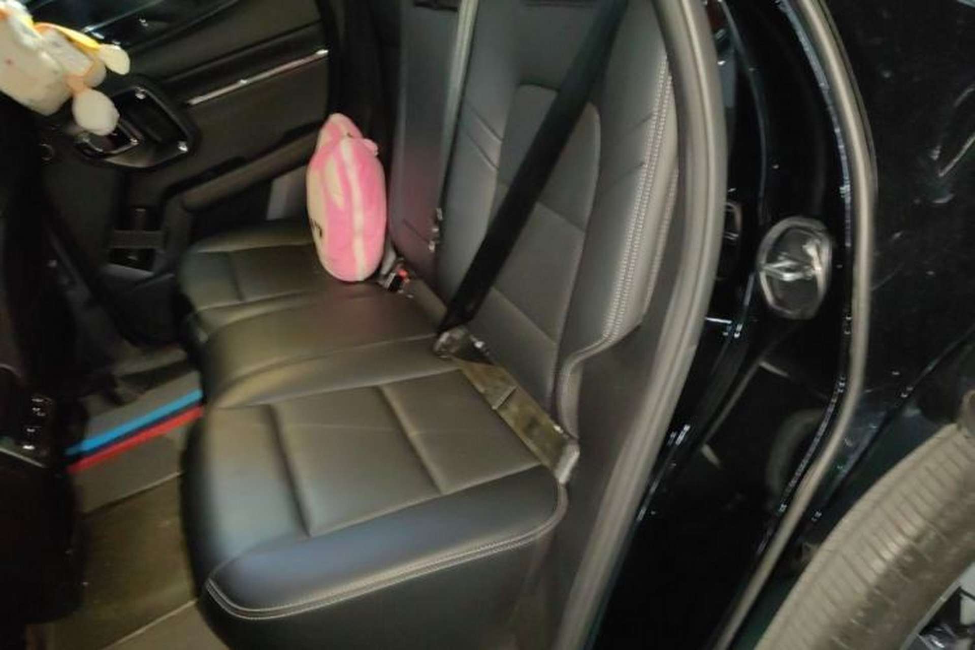 Used Haval H Dog 2023 2.0T Two-Wheel Drive Chaoye Version Plus Left Rear Seat