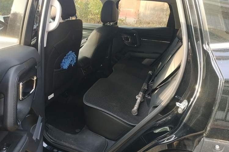 Used Haval H Dog 2023 2.0T Two-Wheel Drive Chaoye Version Plus Left Rear Seat