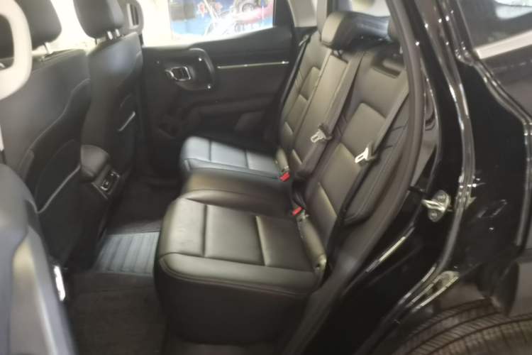 Used Haval H Dog 2023 2.0T All-Wheel-Drive Chaoye Plus Left Rear Seat
