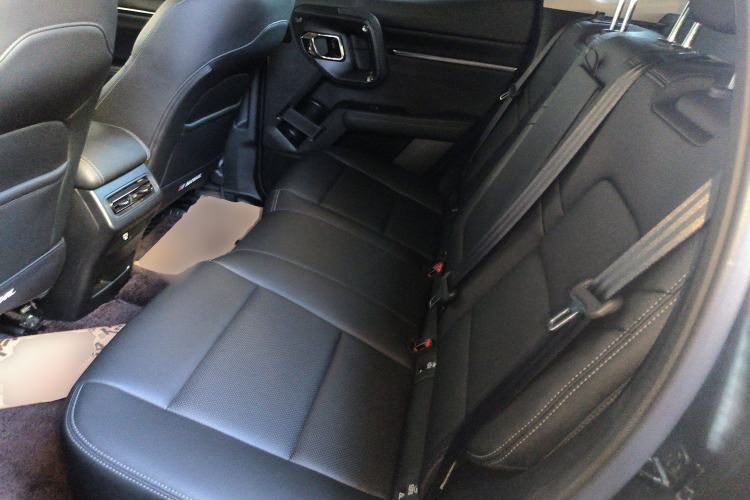 Used Haval H Dog 2023 2.0T Two-Wheel Drive Chaoye Version Plus Left Rear Seat