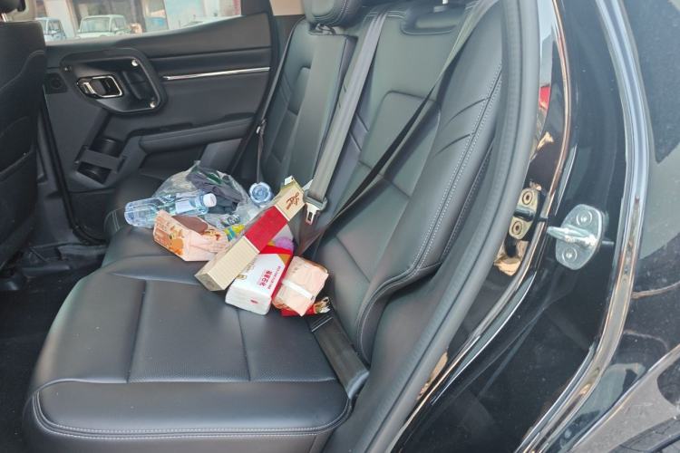 Used Haval H Dog 2023 1.5T Two-Wheel Drive Chao Ye Version Plus Left Rear Seat
