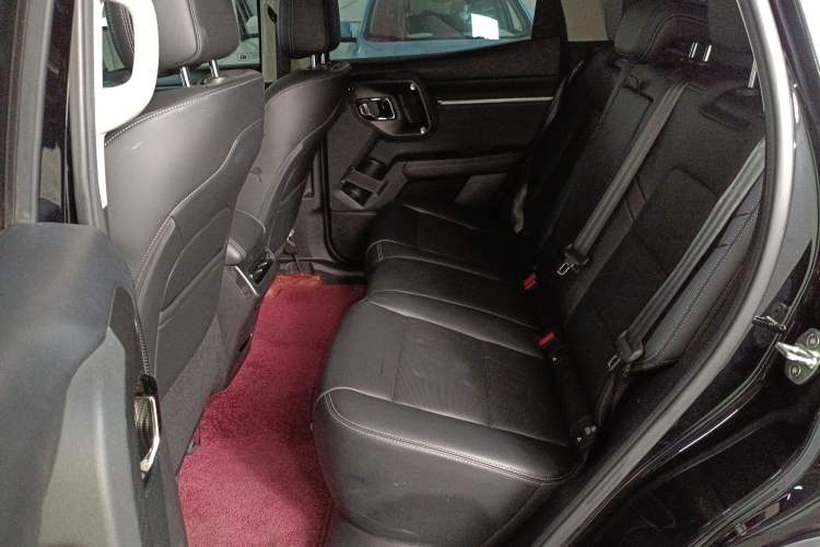 Used Haval H Dog 2023 2.0T All-Wheel-Drive Chaoye Plus Left Rear Seat