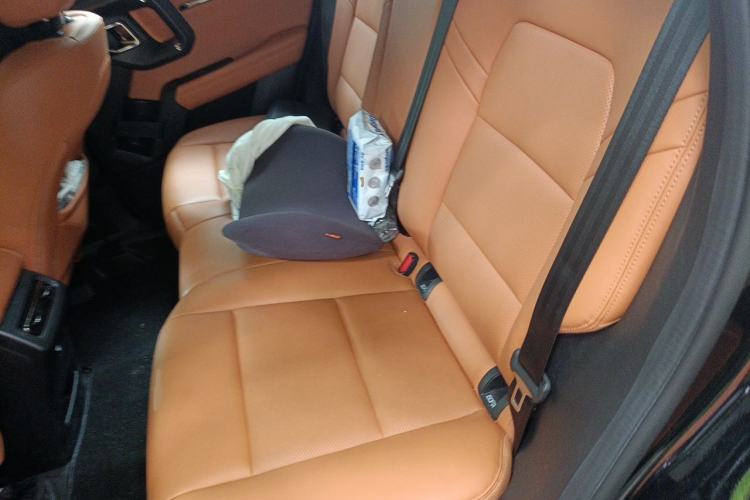 Used Haval H Dog 2023 2.0T All-Wheel-Drive Chaoye Plus Left Rear Seat