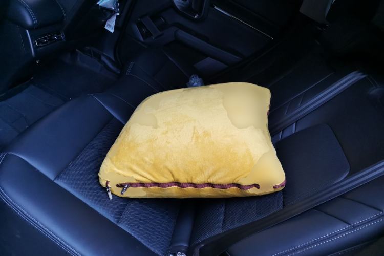 Used Haval H Dog 2023 2.0T Two-Wheel Drive Trendy Outdoor Edition Left Rear Seat