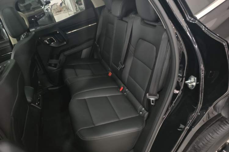 Used Haval H Dog 2023 2.0T Two-Wheel Drive Chaoye Version Plus Left Rear Seat