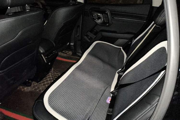 Used Haval H Dog 2023 2.0T Two-Wheel Drive Chaoye Version Plus Left Rear Seat