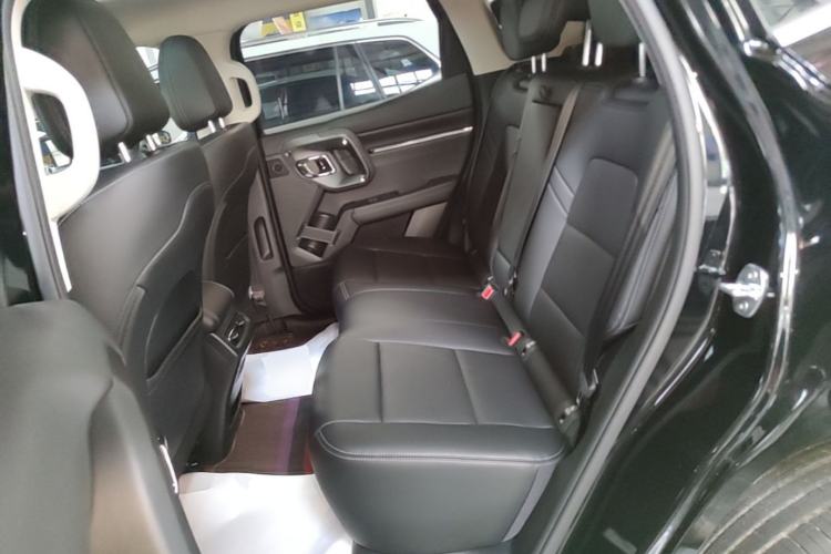 Used Haval H Dog 2023 2.0T All-Wheel-Drive Chaoye Plus Left Rear Seat