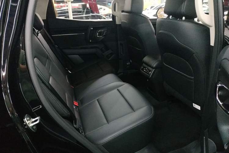 Used Haval H Dog 2023 2.0T Two-Wheel Drive Chaoye Version Plus Left Rear Seat