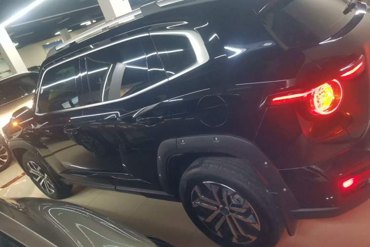 Used Haval H Dog 2023 2.0T Two-Wheel Drive Chaoye Version Plus Left Side