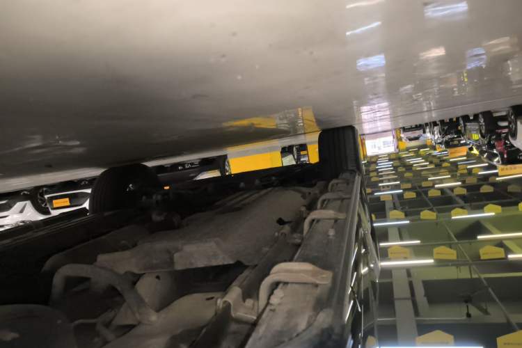 Used Haval H Dog 2023 2.0T All-Wheel-Drive Chaoye Plus Left Side Sill
