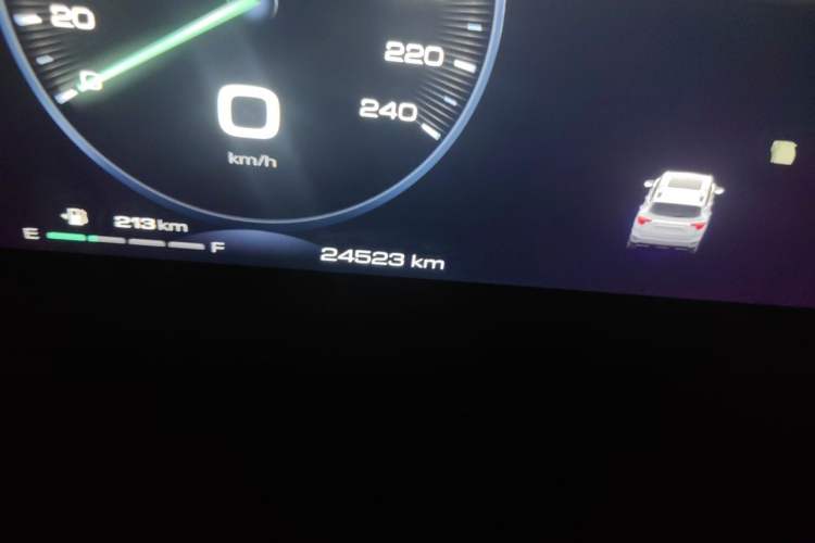 Used Haval H Dog 2023 2.0T Two-Wheel Drive Chaoye Version Plus Odometer Close Up