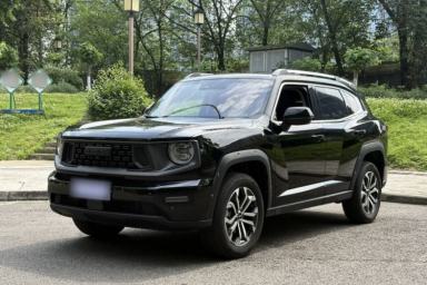 Used Haval H Dog 2023 2.0T Two-Wheel Drive Chaoye Version Plus