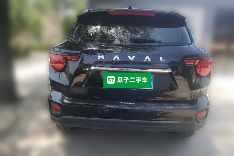 Used Haval H Dog  Rear
