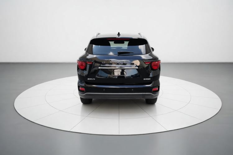 Used Haval H Dog 2023 2.0T Two-Wheel Drive Chaoye Version Plus Rear