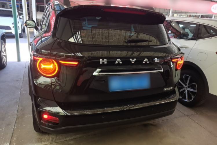 Used Haval H Dog 2023 2.0T Two-Wheel Drive Chaoye Version Plus Rear
