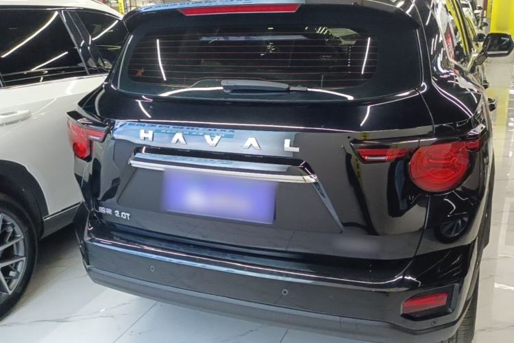 Used Haval H Dog 2023 2.0T Two-Wheel Drive Chaoye Version Plus Rear
