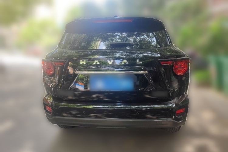 Used Haval H Dog 2023 2.0T Two-Wheel Drive Chaoye Version Plus Rear