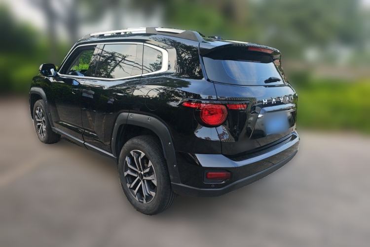 Used Haval H Dog 2023 2.0T Two-Wheel Drive Chaoye Version Plus Rear Left 45 Deg