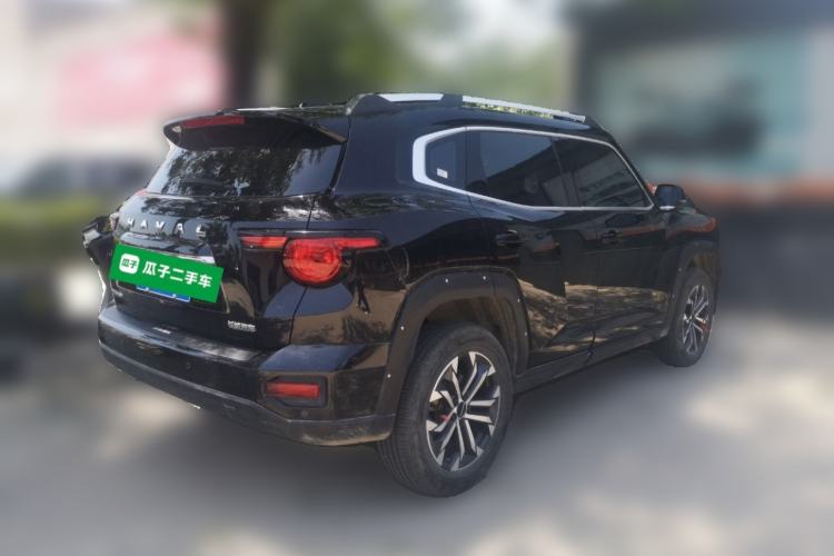 Used Haval H Dog  Rear Right 45 Deg