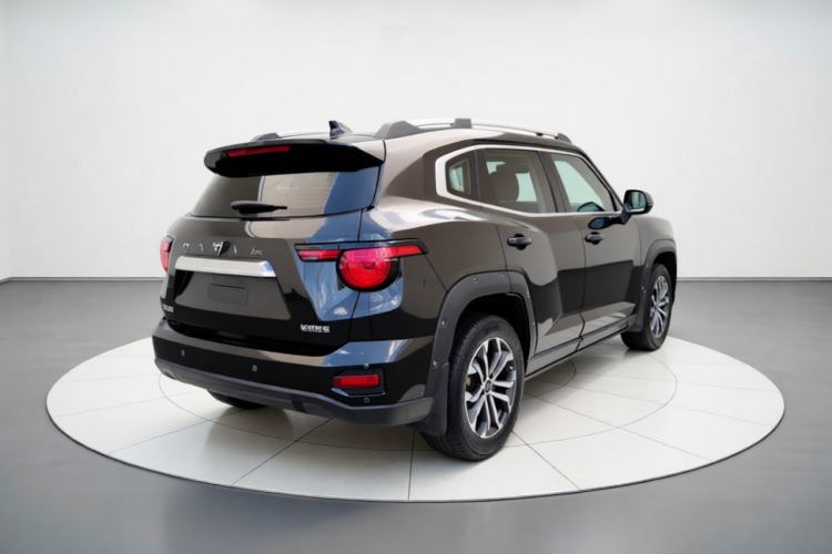 Used Haval H Dog 2023 2.0T Two-Wheel Drive Chaoye Version Plus Rear Right 45 Deg
