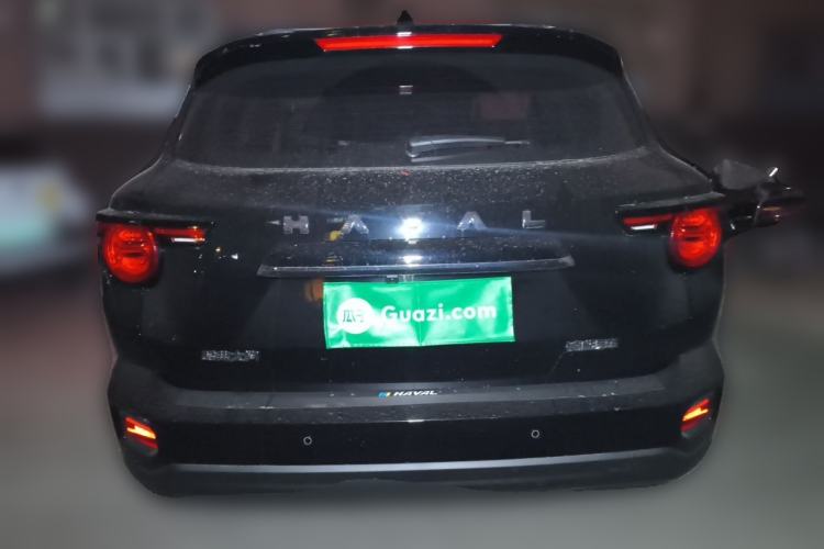 Used Haval H Dog 2023 2.0T Two-Wheel Drive Chaoye Version Plus Rear