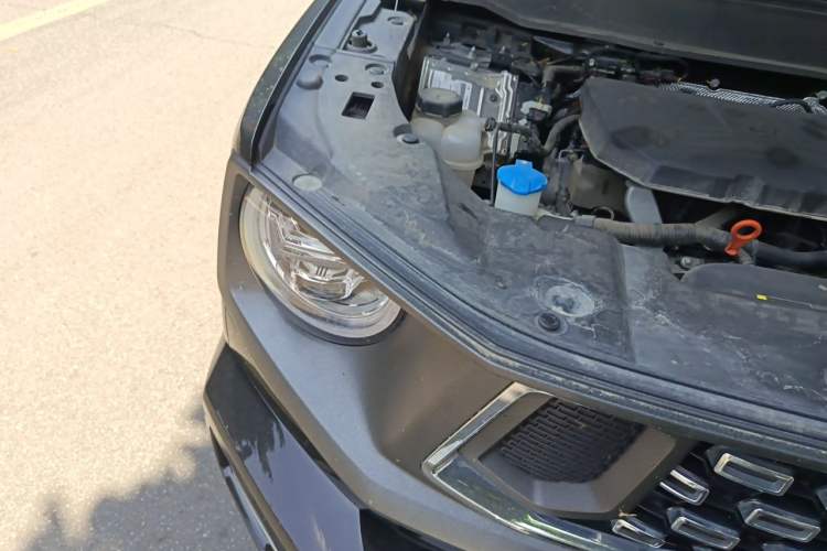 Used Haval H Dog 2023 2.0T Two-Wheel Drive Chaoye Version Plus Right Front Headlight