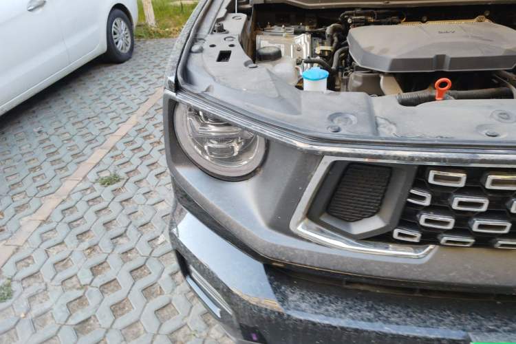 Used Haval H Dog 2023 2.0T All-Wheel-Drive Chaoye Plus Right Front Headlight
