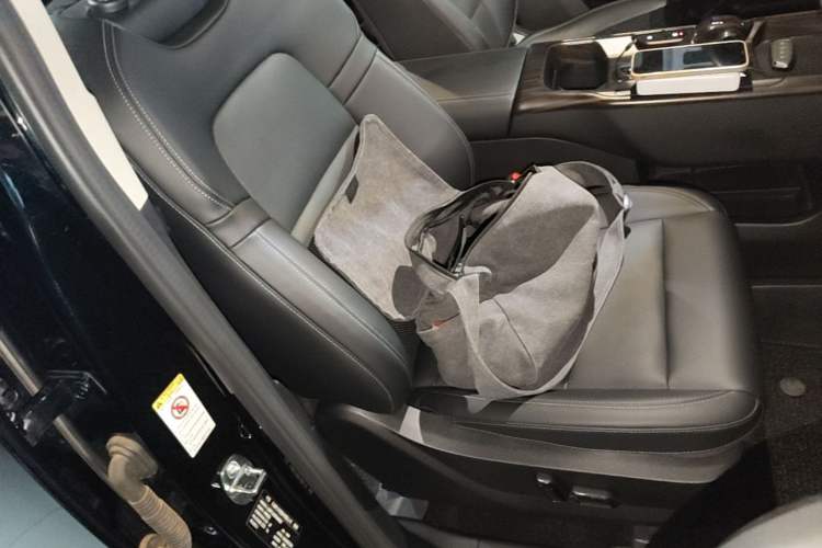 Used Haval H Dog 2023 2.0T All-Wheel-Drive Chaoye Plus Right Front Seat