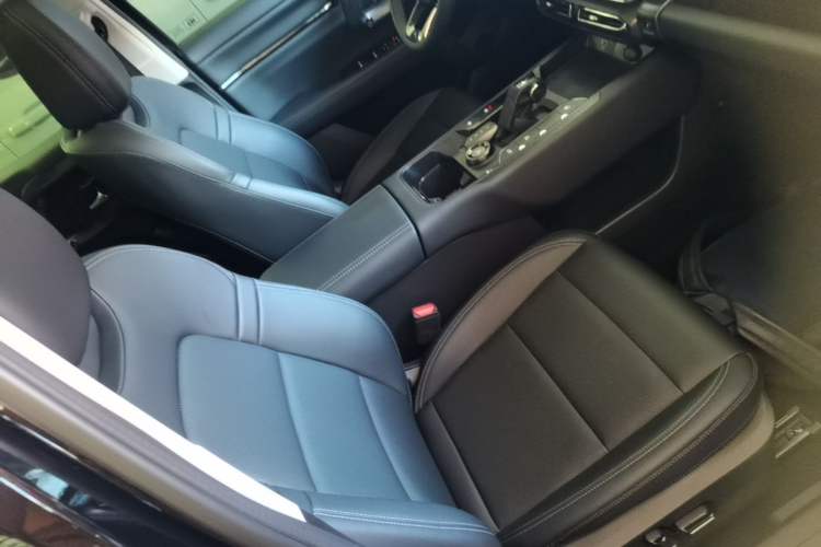 Used Haval H Dog 2023 2.0T Two-Wheel Drive Chaoye Version Plus Right Front Seat