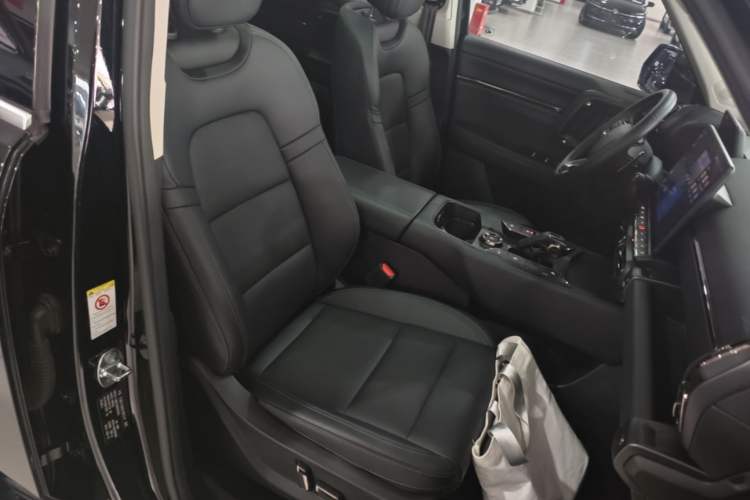 Used Haval H Dog 2023 2.0T Two-Wheel Drive Chaoye Version Plus Right Front Seat