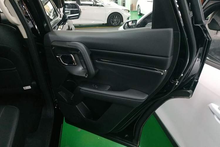 Used Haval H Dog 2023 2.0T Two-Wheel Drive Chaoye Version Plus Right Rear Door Interior