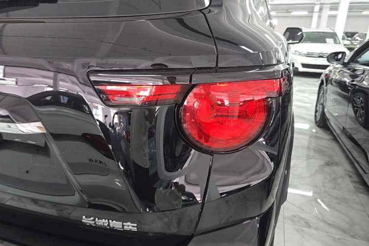 Used Haval H Dog 2023 1.5T Two-Wheel Drive Chao Ye Version Plus Right Rear Taillight