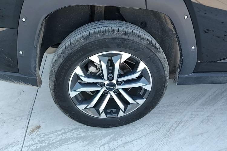 Used Haval H Dog 2023 2.0T Two-Wheel Drive Chaoye Version Plus Right Rear Wheel Hub