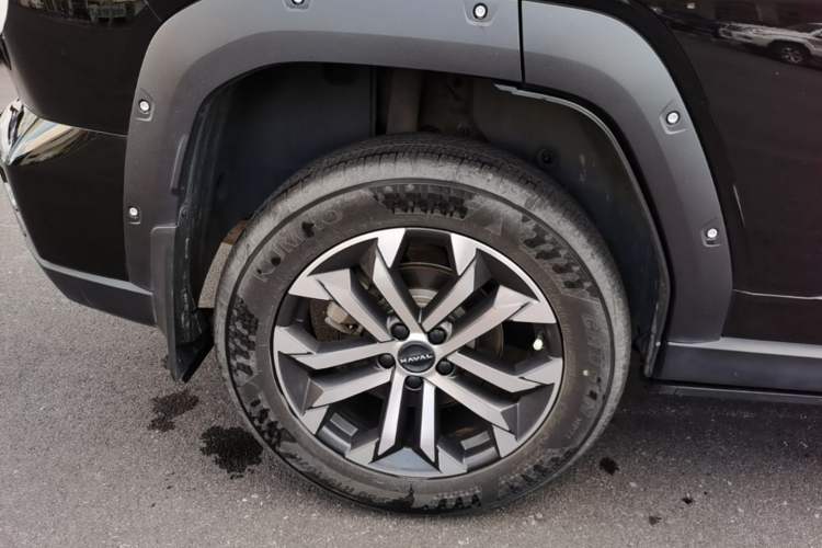 Used Haval H Dog 2023 2.0T Two-Wheel Drive Chaoye Version Plus Right Rear Wheel Hub