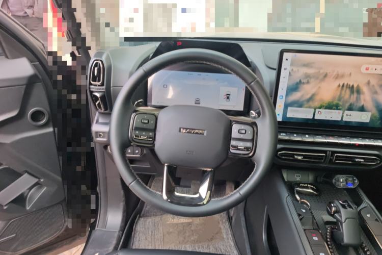 Used Haval H Dog 2023 1.5T Two-Wheel Drive Chao Ye Version Plus Steering Wheel