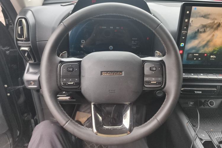 Used Haval H Dog 2023 2.0T Two-Wheel Drive Chaoye Version Plus Steering Wheel