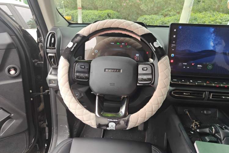 Used Haval H Dog 2023 1.5T Two-Wheel Drive Chao Ye Version Plus Steering Wheel