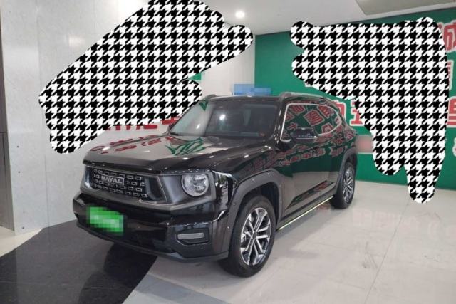 Haval H Dog 2023 1.5T Two-Wheel Drive Chao Ye Version Plus usado