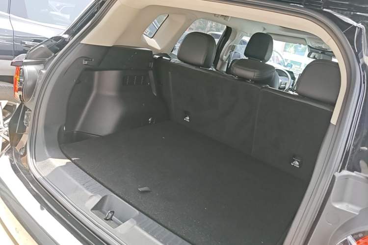 Used Haval H Dog 2023 2.0T Two-Wheel Drive Chaoye Version Plus Trunk