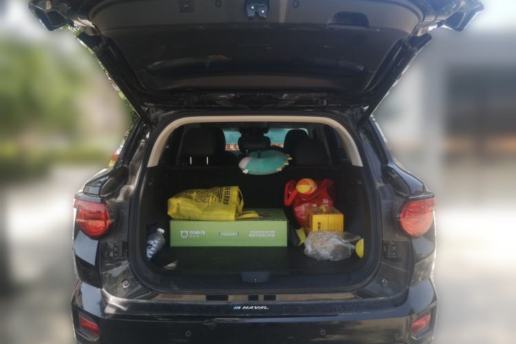 Used Haval H Dog  Trunk