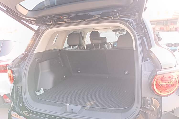 Used Haval H Dog 2023 2.0T Two-Wheel Drive Chaoye Version Plus Trunk