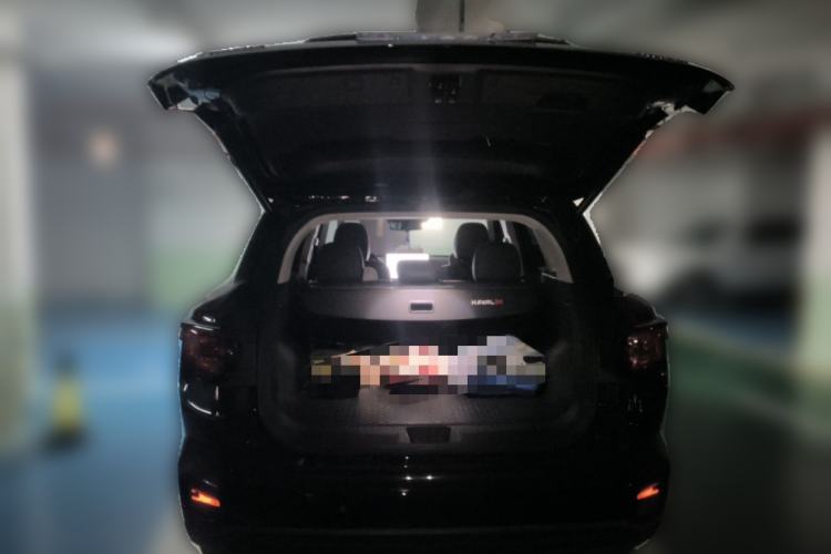 Used Haval H Dog 2023 2.0T All-Wheel-Drive Chaoye Plus Trunk