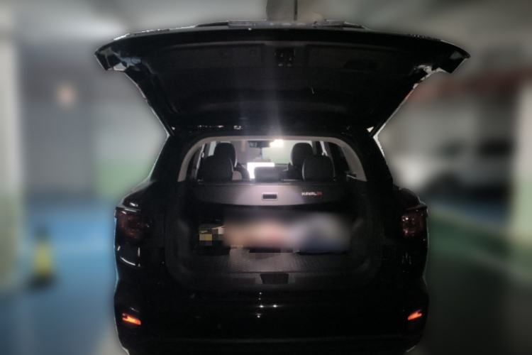 Used Haval H Dog 2023 2.0T All-Wheel-Drive Chaoye Plus Trunk
