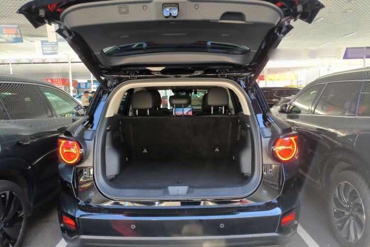 Used Haval H Dog 2023 2.0T Two-Wheel Drive Chaoye Version Plus Trunk