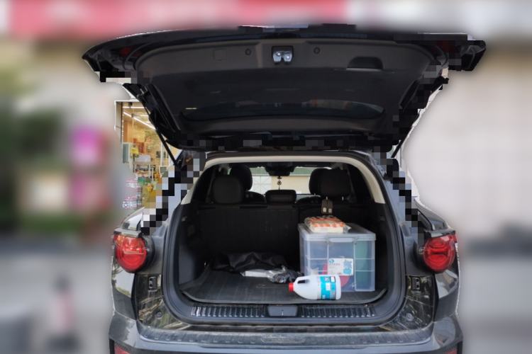 Used Haval H Dog 2023 2.0T Two-Wheel Drive Trendy Outdoor Edition Trunk