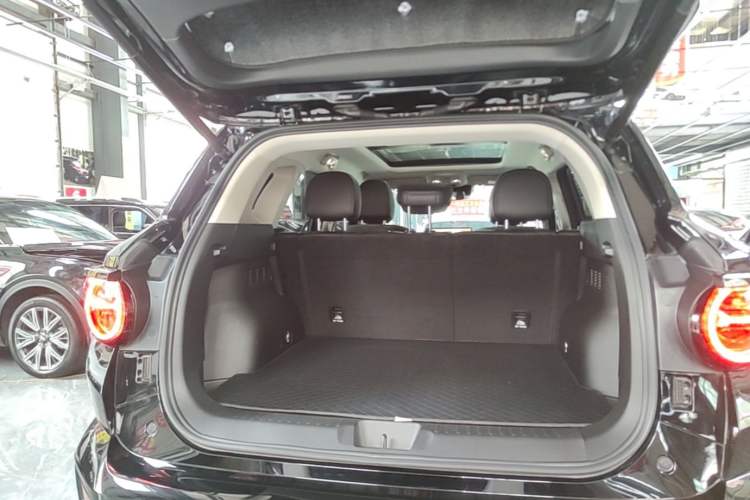 Used Haval H Dog 2023 2.0T All-Wheel-Drive Chaoye Plus Trunk